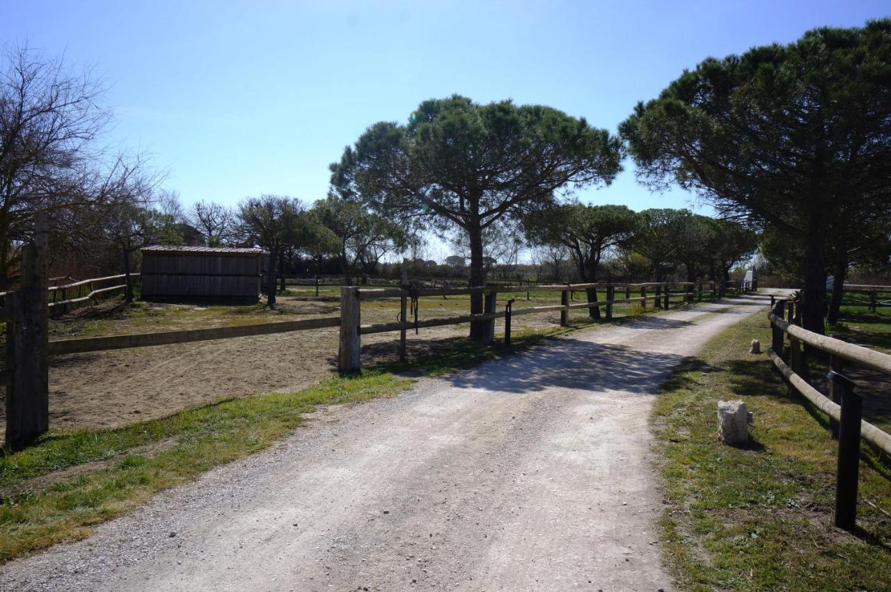 Gites Equestres Lou Caloun - Les Saintes Maries De La Mer Exterior photo