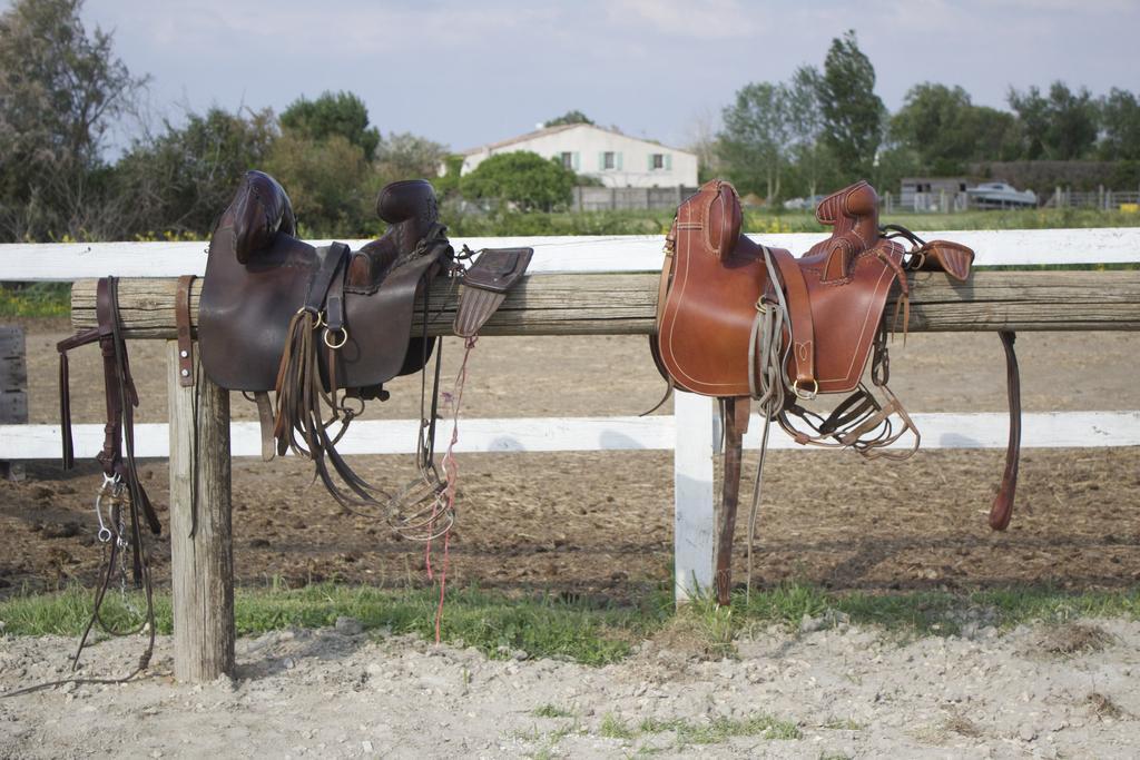 Gites Equestres Lou Caloun - Les Saintes Maries De La Mer Exterior photo