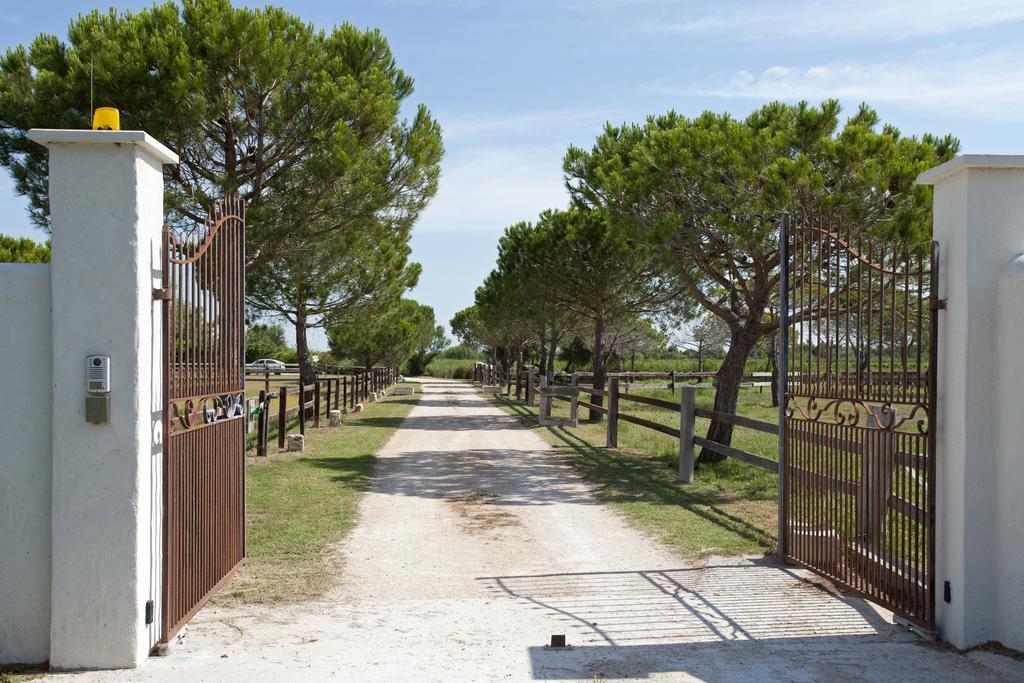 Gites Equestres Lou Caloun - Les Saintes Maries De La Mer Room photo